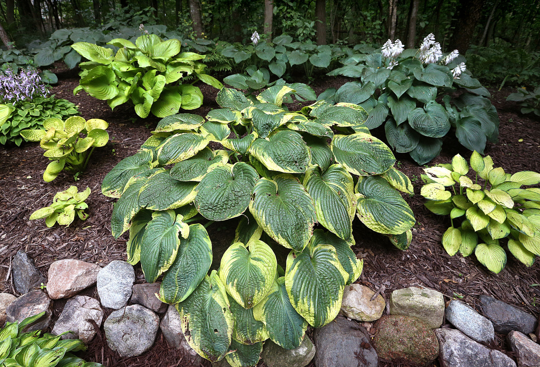 Tanke Garden 3